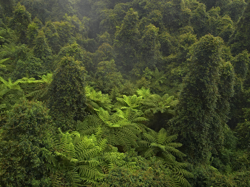Blue Mountains